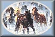 skandinavisk hesterings logo