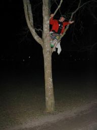 20050417-012008 - Helt plötsligt klättrade Allan upp i ett träd..
