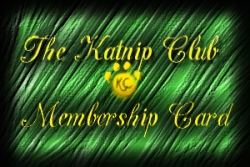 The Katnip Club