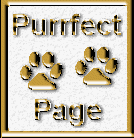 Purrfect Page