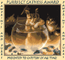 Purrfect Catness Award