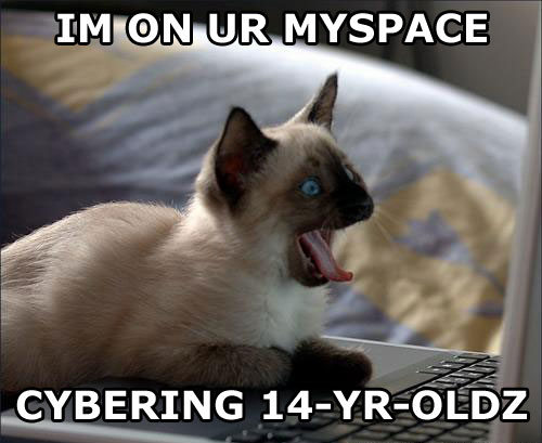 1164814158-myspacecat.jpg