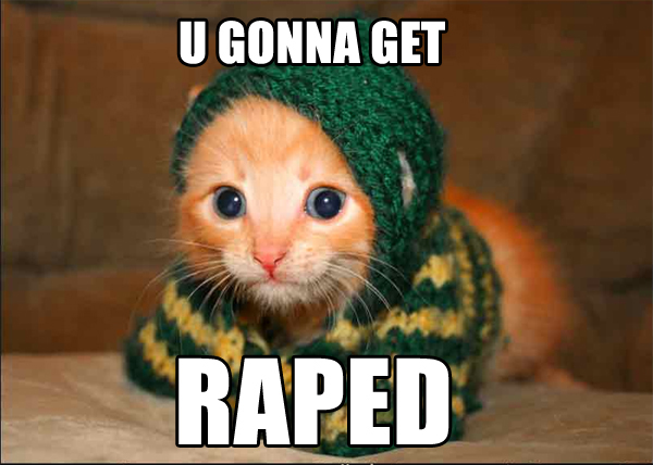 1169988171-Gonna_get_raped_cat.png