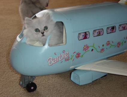 1171893087-barbieplane.jpg