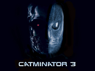 1171921161-catminator
