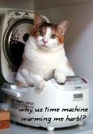 1174324818-time_machine_cat_1