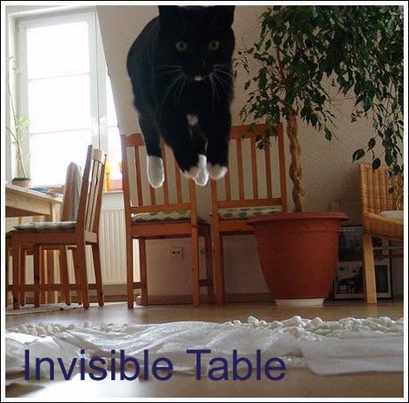 1181592539-20192InvisibleTable