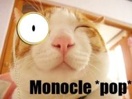 1193000424-Cat_Monocle
