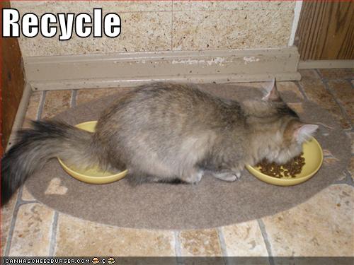 Le topic des images - Page 12 1204982164-funny-pictures-cat-recycles-food