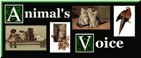 Visit the Animal's Voice
HomePage and join the ring!
