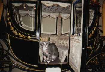 Elsa in The Royal Sevenglass Carriage