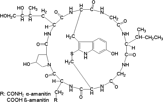 kemisk formel på amanitin